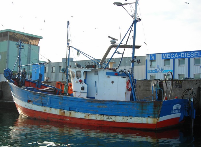 [VIE DES PORTS] Quelques bateaux de pêche (sur nos côtes Françaises) - Page 10 29_10_14